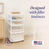 imageHOMZ Drawer Tower 4Tier Clear Plastic Storage Organizer Cart Black Frame  Rolling Drawer Containers with Wheels for Bathroom Bedroom Office and Classroom OrganizationWhite